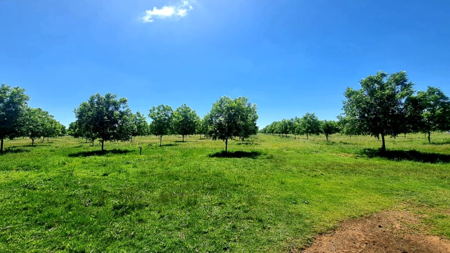 Commercial Property for Sale in Bainsvlei Free State